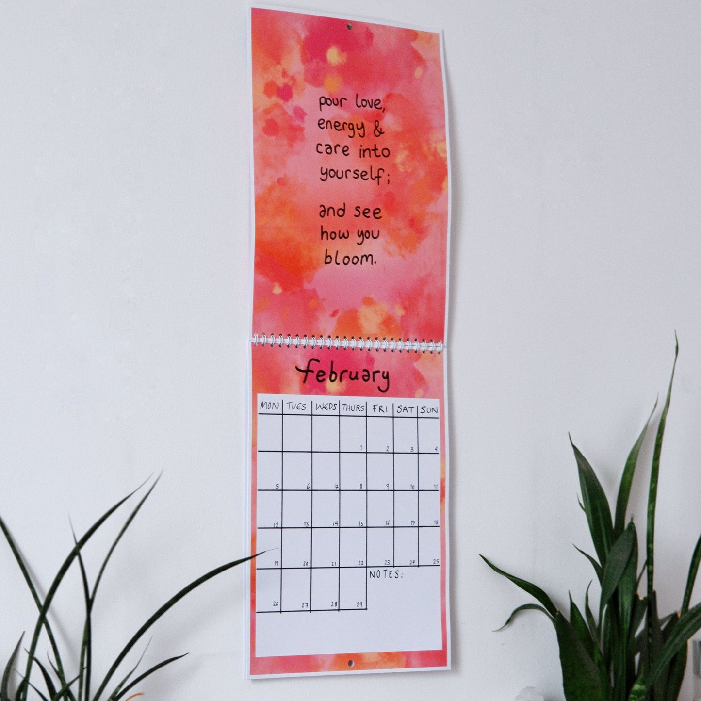 the bright new year set