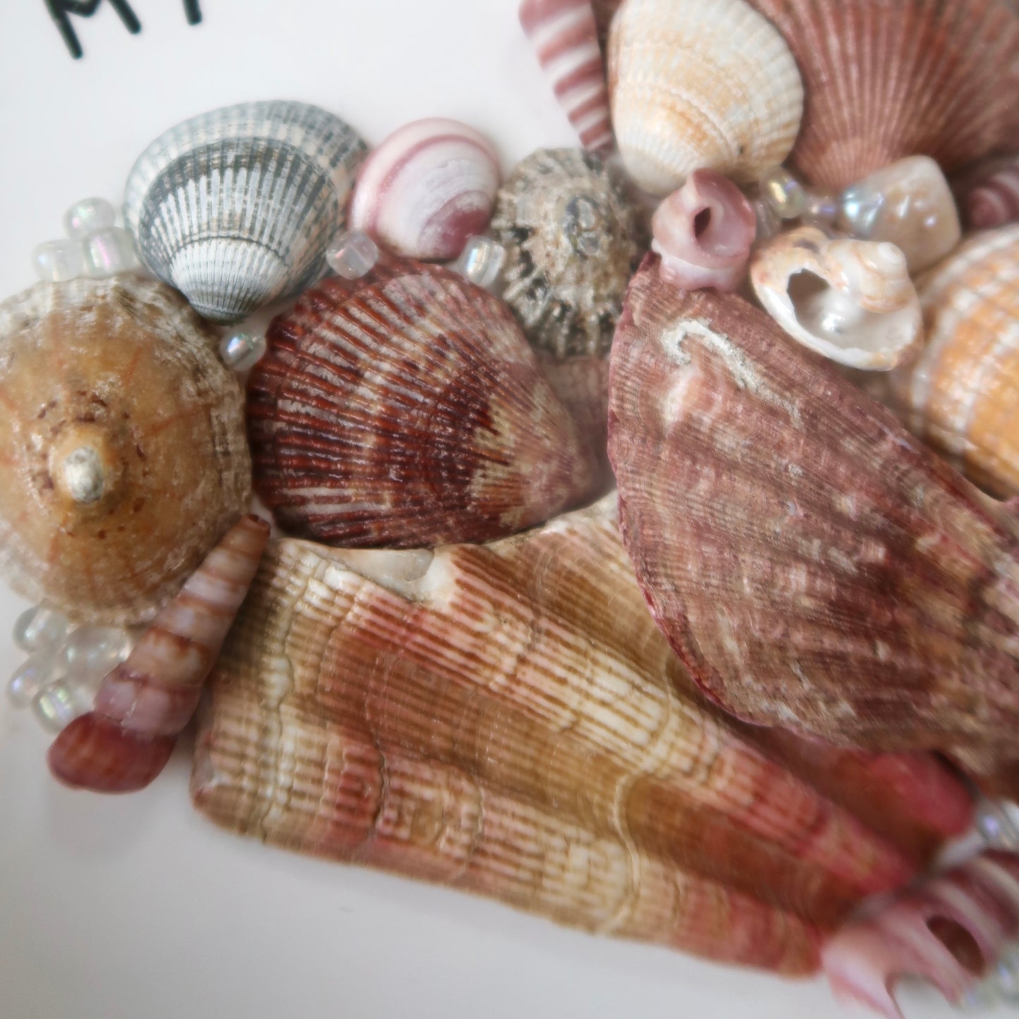 tidal treasures - framed art