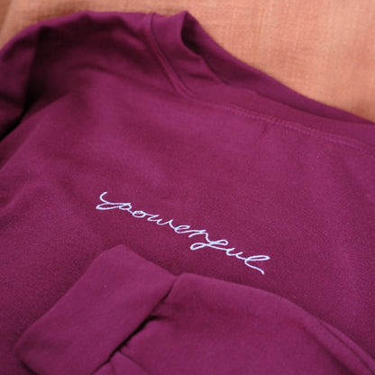 powerful embroidered sweatshirt | 4 colours