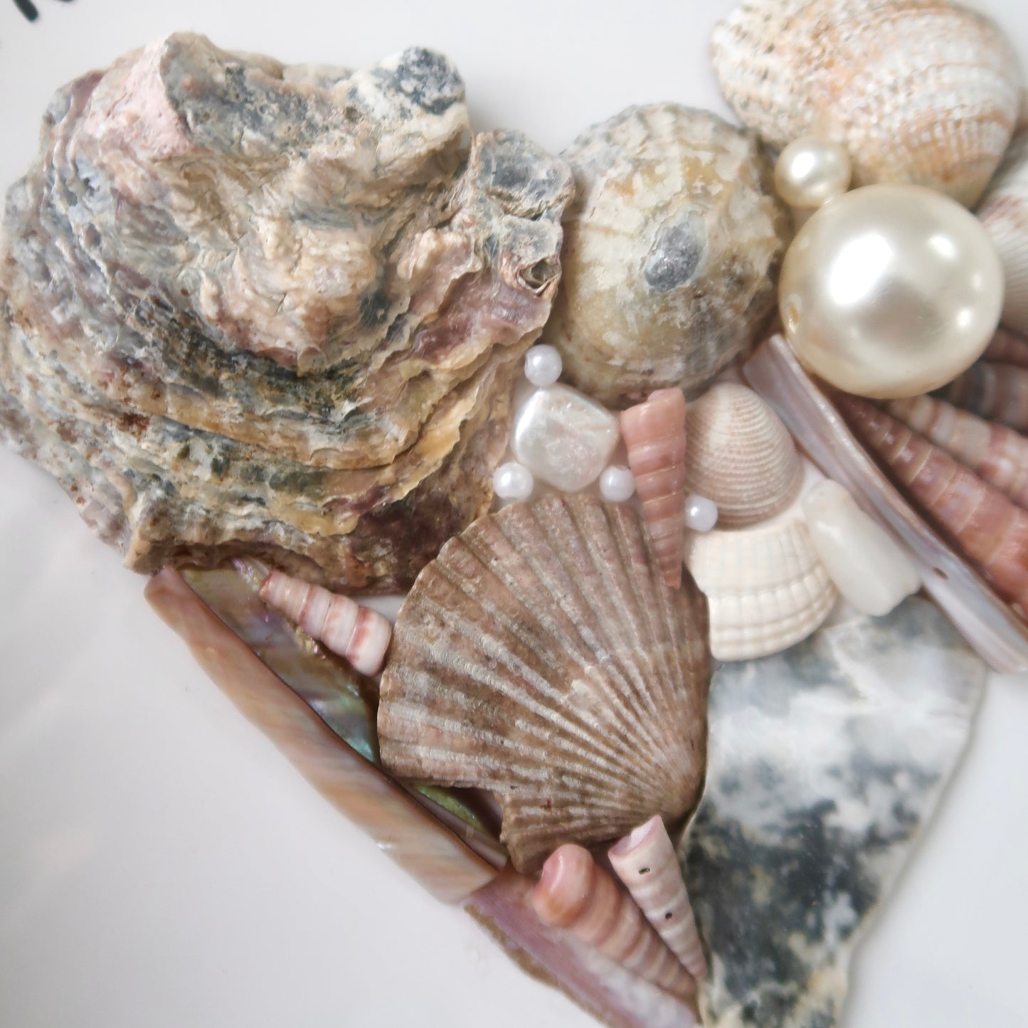 coastal treasure - framed art