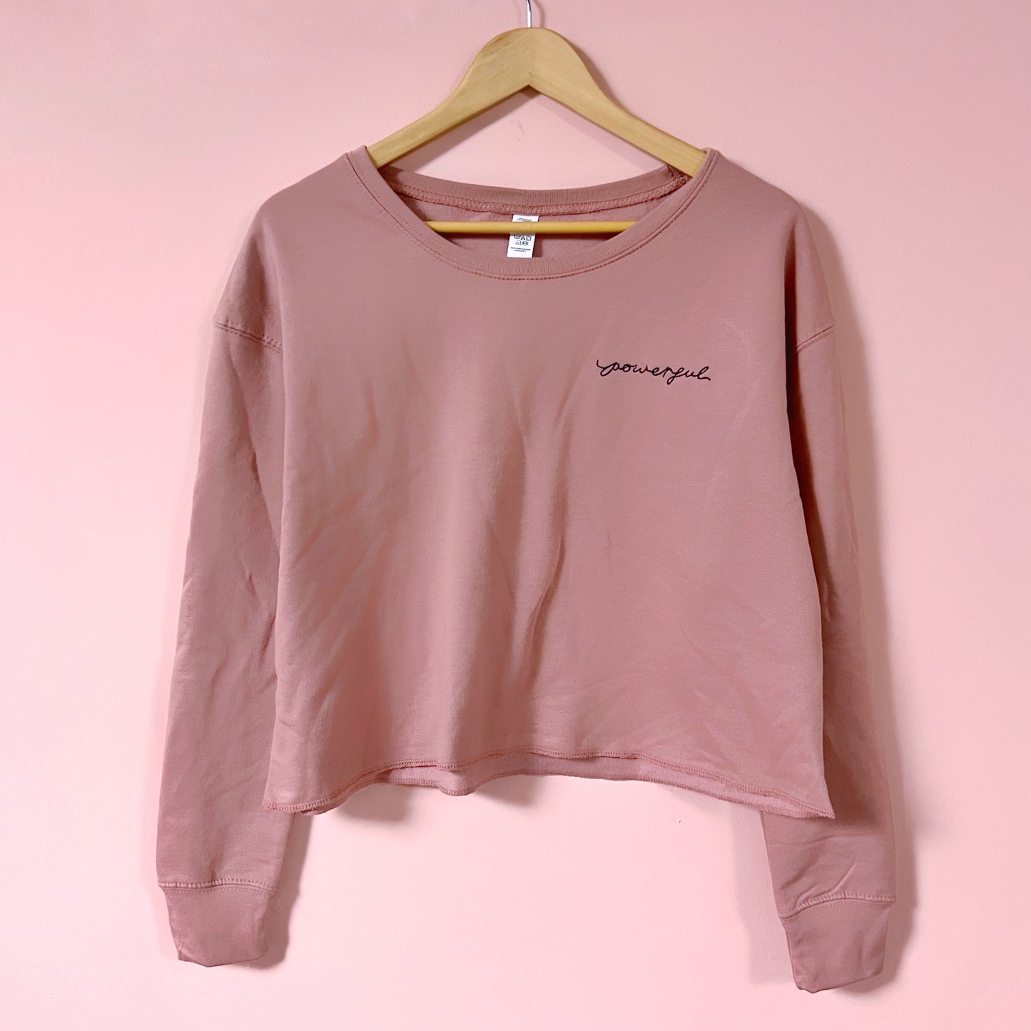 powerful embroidered crop sweatshirt - dusky pink v.2